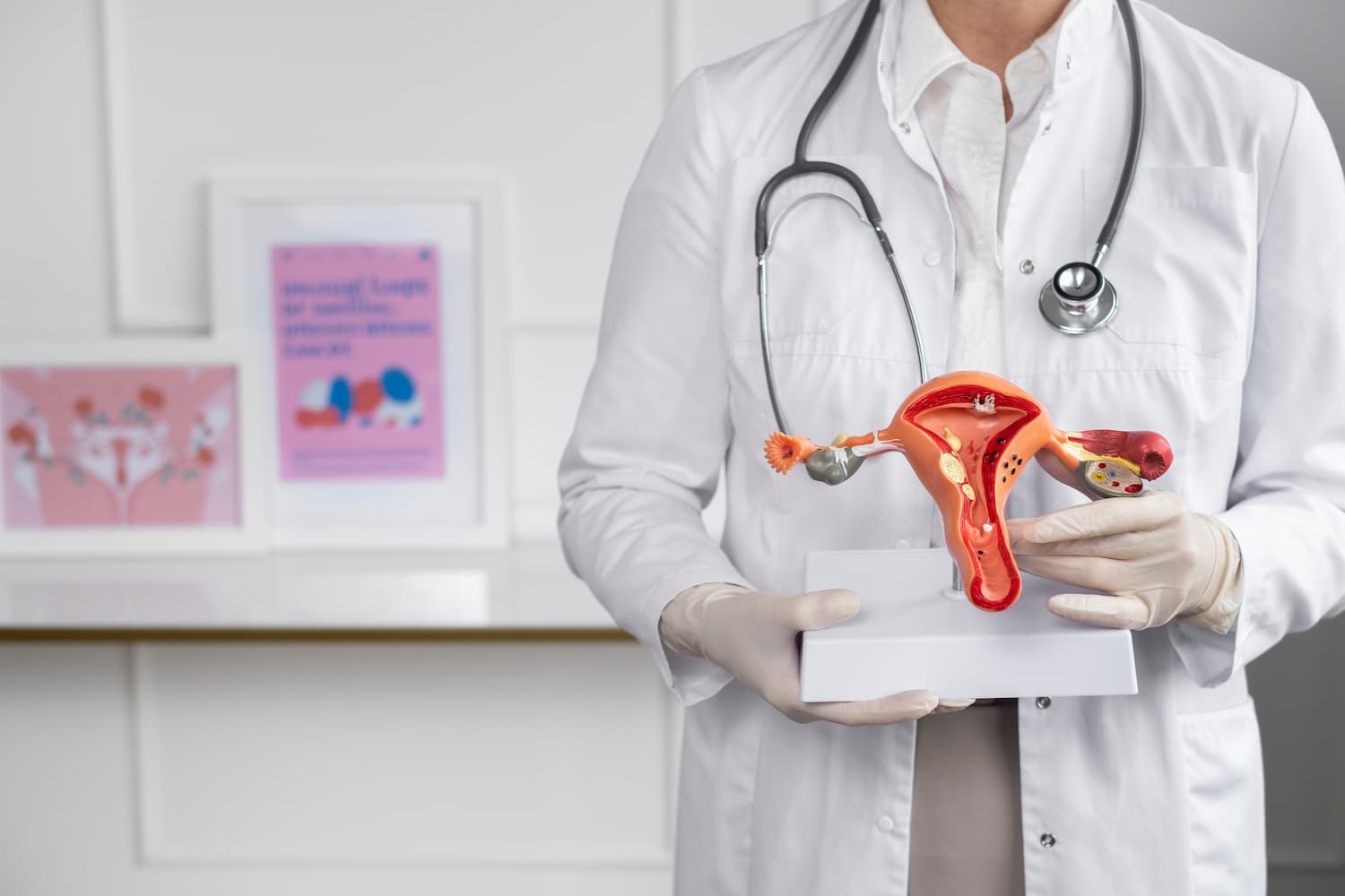 Ginecologia Preventiva - Dra. Francisca Lopes